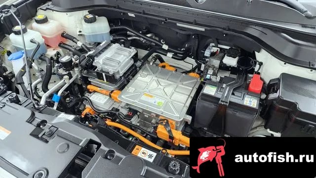 KG Mobility (Ssangyong) KORANDO Korando EV (Emotion) 2022 года - вид 6