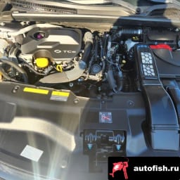 Миниатюра 6