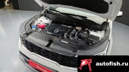 Миниатюра 6