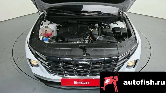 Hyundai Tucson Tucson (NX4) 2022 года - вид 6