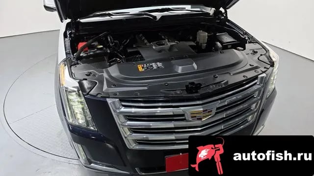 Cadillac Escalade Escalade 2019 года - вид 6