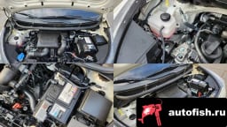 Миниатюра 6