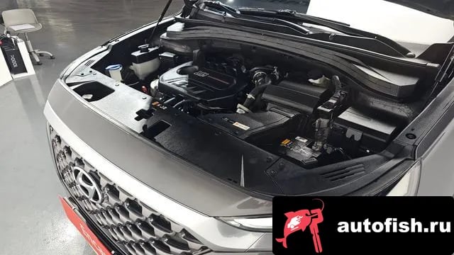 Hyundai Santafe San Tafe TM 2019 года - вид 6