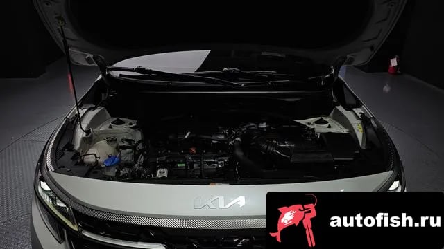 Kia Seltos The New Celtos 2023 года - вид 6