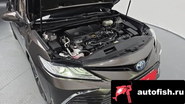 Toyota Camry Camry (XV70) 2021 года - вид 6