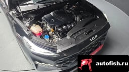 Миниатюра 6