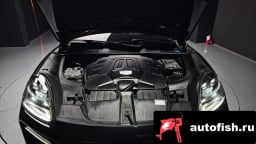 Миниатюра 6