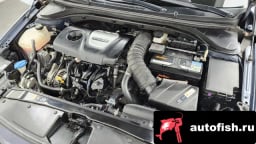 Миниатюра 6