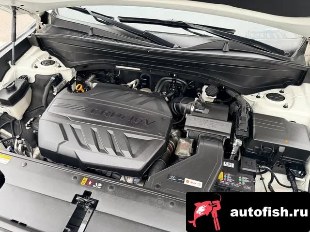 Hyundai Palisade Palisade 2019 года - вид 6