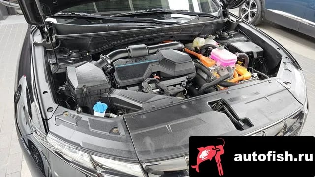 Hyundai Tucson Tucson Hybrid (NX4) 2022 года - вид 6