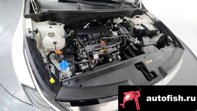 Kia Sportage Sportage 5th Generation 2024 года - вид 6