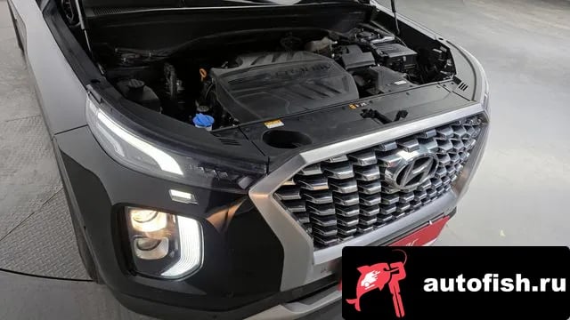 Hyundai Palisade Palisade 2019 года - вид 6
