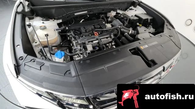 Hyundai Tucson Tucson (NX4) 2022 года - вид 6