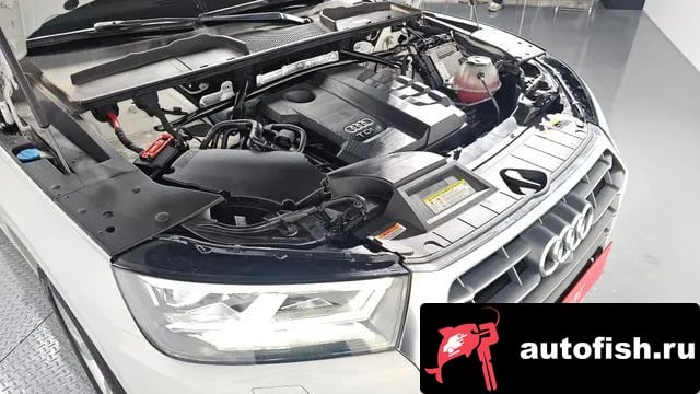 Audi Q5 Q5 (FY) 2020 года - вид 6