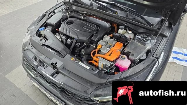 Kia K5 K5 Hybrid 3rd Generation 2022 года - вид 6