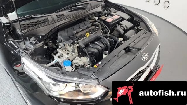 Kia K3 Come New K3 2021 года - вид 6