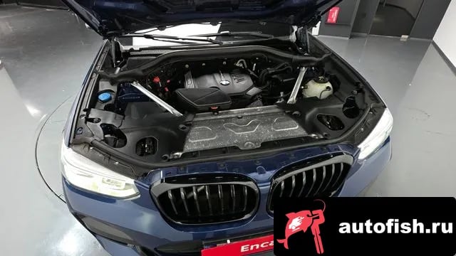 BMW X4 X4 (G02) 2020 года - вид 6