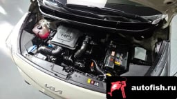 Миниатюра 6