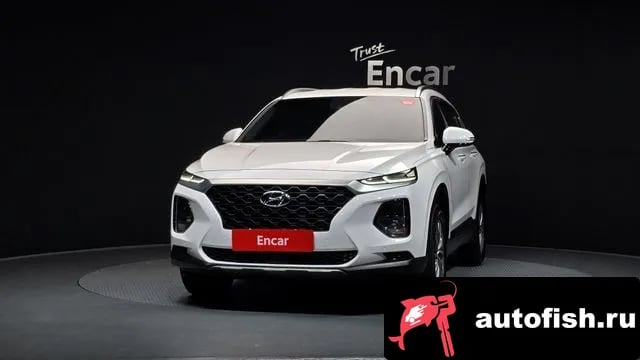 Hyundai Santafe San Tafe TM 2019 года - вид 3