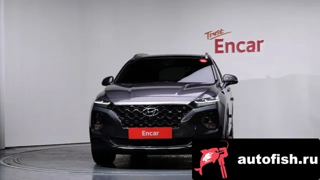 Hyundai Santafe San Tafe TM 2019 года - вид 3