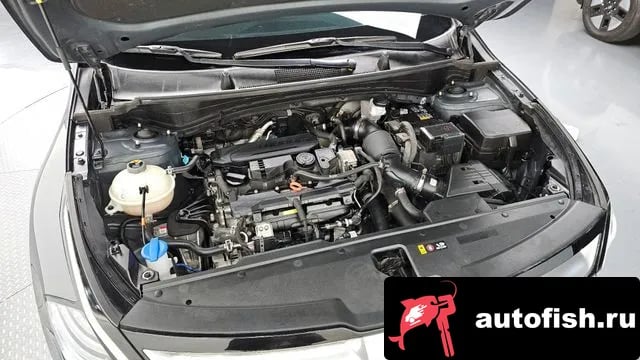 Kia Sportage Sportage 5th Generation 2024 года - вид 6