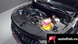 Миниатюра 6