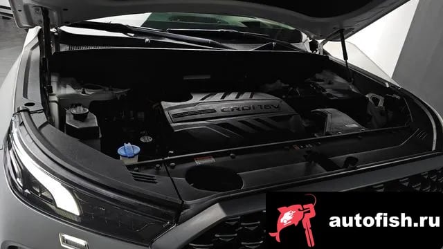 Hyundai Palisade Palisade 2020 года - вид 6