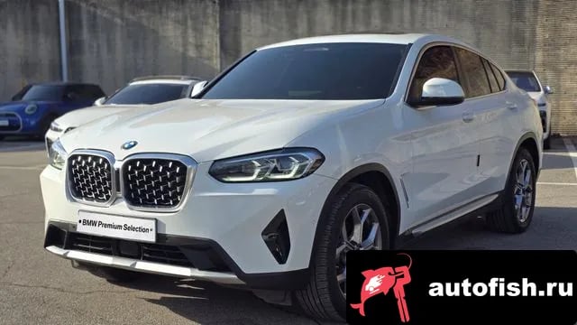 BMW X4 X4 (G02) 2021 года - вид 1