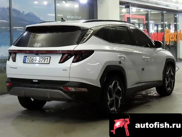 Hyundai Tucson Tucson (NX4) 2022 года - вид 4