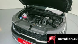 Миниатюра 6