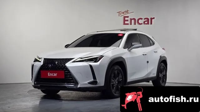 Lexus UX UX250h 2020 года - вид 1