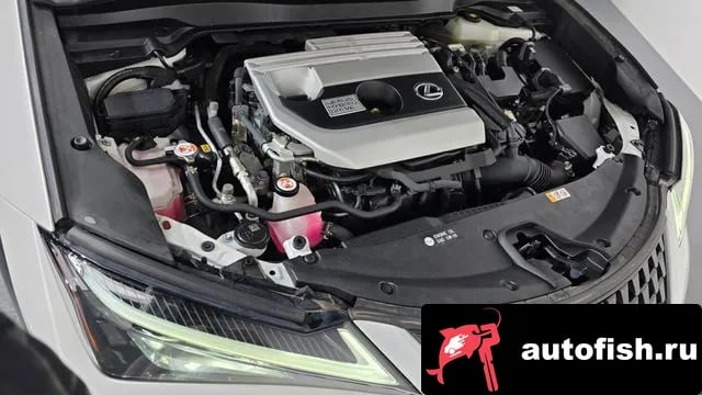 Lexus UX UX250h 2020 года - вид 6