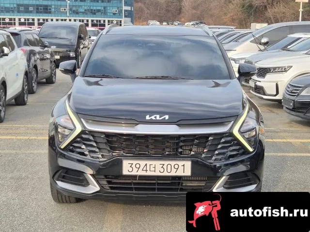 Kia Sportage Sportage 5th Generation 2022 года - вид 1