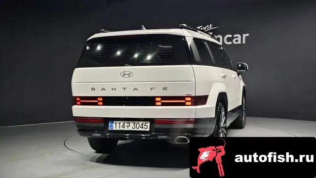 Hyundai Santafe San Tafe (MX5) 2024 года - вид 4