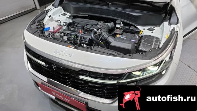 Kia Seltos The New Celtos 2024 года - вид 6