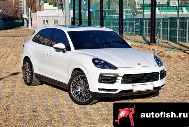 Porsche Cayenne Cayenne (PO536) 2020 года - вид 4