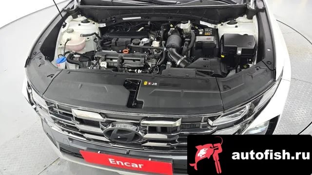 Hyundai Tucson The New Tucson (NX4) 2024 года - вид 6