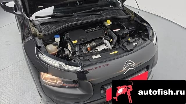 Citroen-DS C4 CACTUS C4 Cactus 2018 года - вид 6