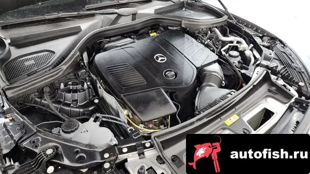 Mercedes-Benz GLC-Class GLC-Class X254 2024 года - вид 5