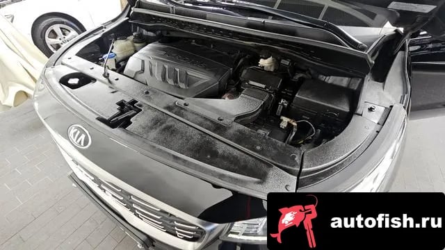 Kia Carnival The New Carnival 2018 года - вид 6