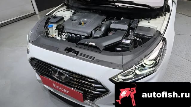 Hyundai Sonata Sonata New Rise 2019 года - вид 6