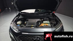 Миниатюра 6