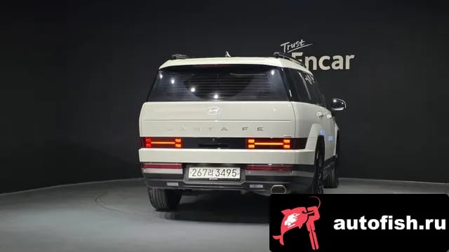 Hyundai Santafe San Tafe (MX5) 2024 года - вид 4