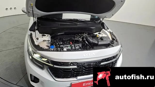 Kia Seltos The New Celtos 2024 года - вид 6