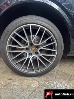 Миниатюра 3