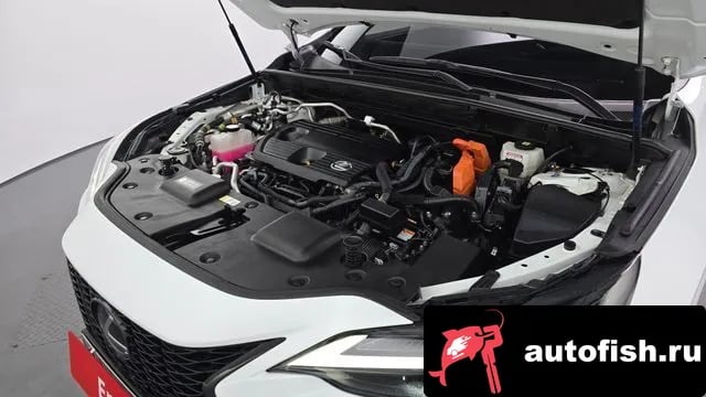 Lexus NX NX450h + 2nd generation 2022 года - вид 6