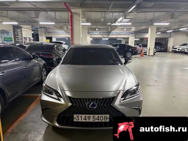 Lexus ES ES300h 7th generation 2022 года - вид 1