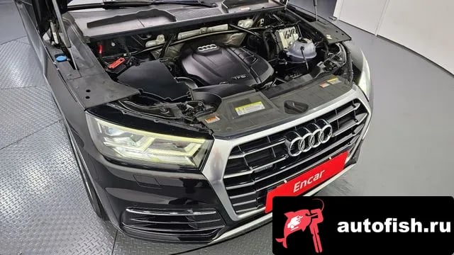 Audi Q5 Q5 (FY) 2020 года - вид 6