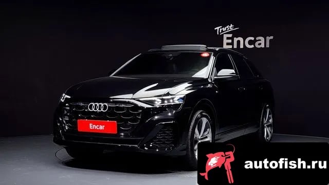 Audi Q8 Q8 (4M) 2025 года - вид 1