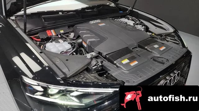 Audi Q8 Q8 (4M) 2025 года - вид 6